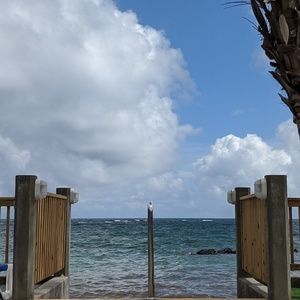 Meet your Posher, Rachele